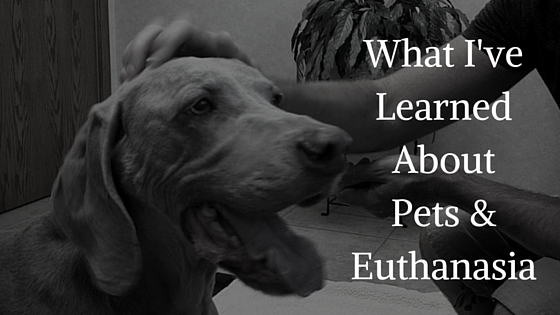 Pets and the Responsibility of Euthanasia