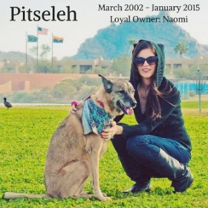 Pitseleh_Post